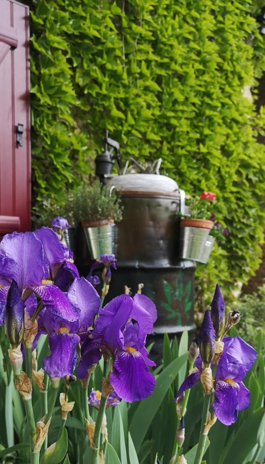 Ferienwohnung La Ferme Du Grand Bois Mouterre-Silly Exterior foto